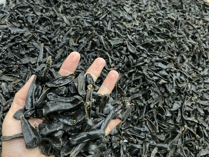 J9集团成品