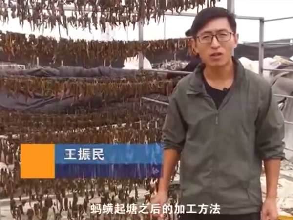 J9集团加工方法