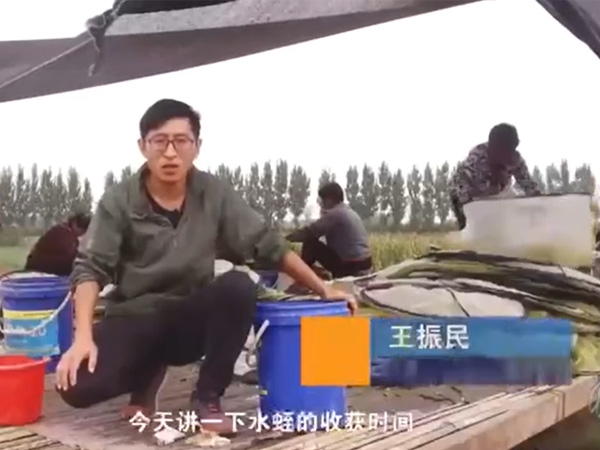 J9集团收获时间