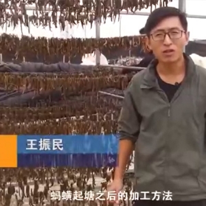 J9集团加工方法