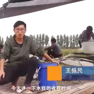 J9集团收获时间
