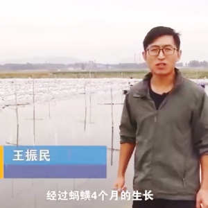 J9集团收获流程